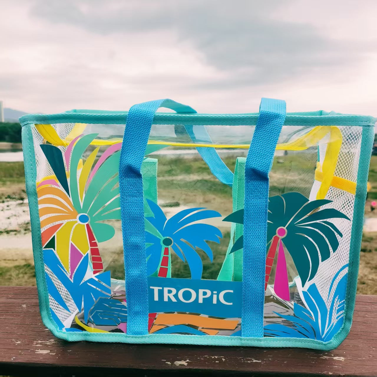 Transparent Waterproof Beach Bag with Summer Print, Large Capacity for Swimwear and Toiletries, Perfect for Pool and Travel